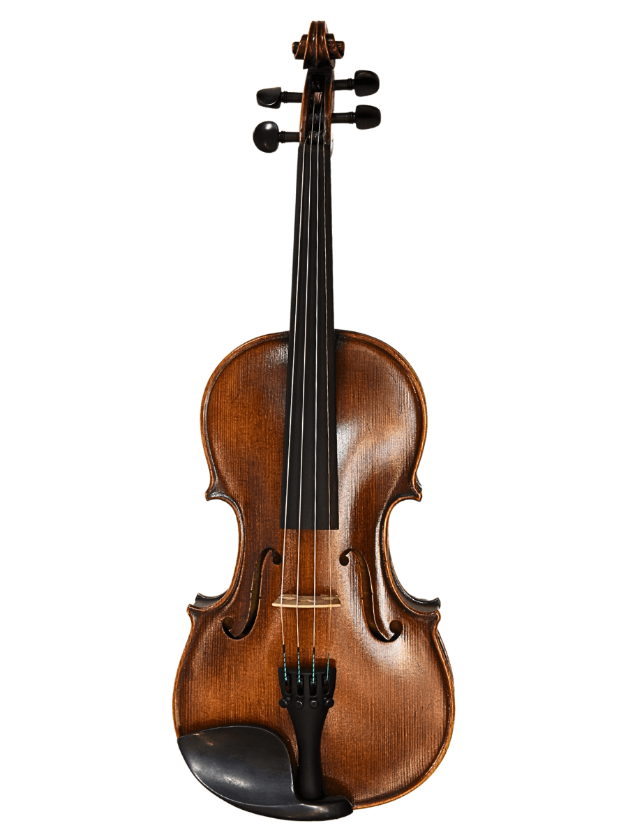 Strumento violin by LVL Music Academy