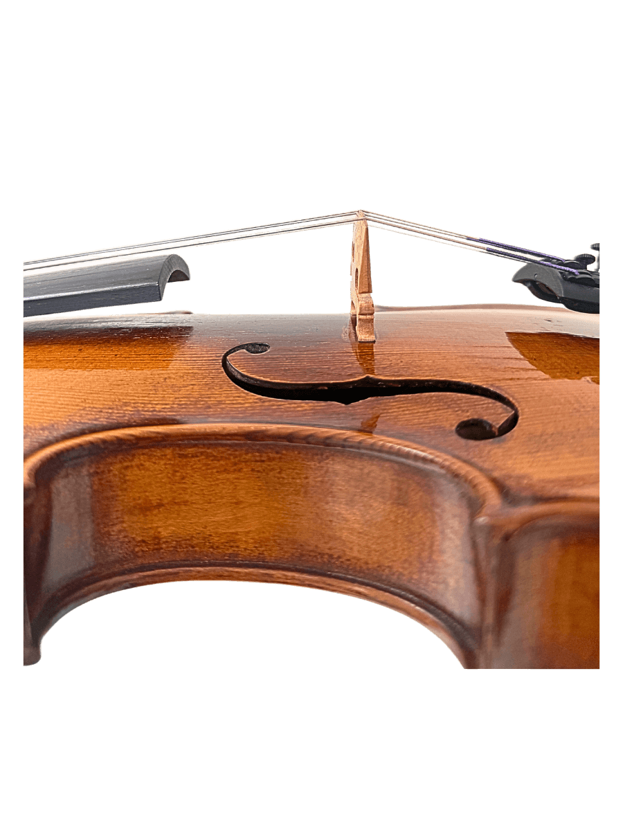 bridge on a Carlo Ferdinando Landolfi violin