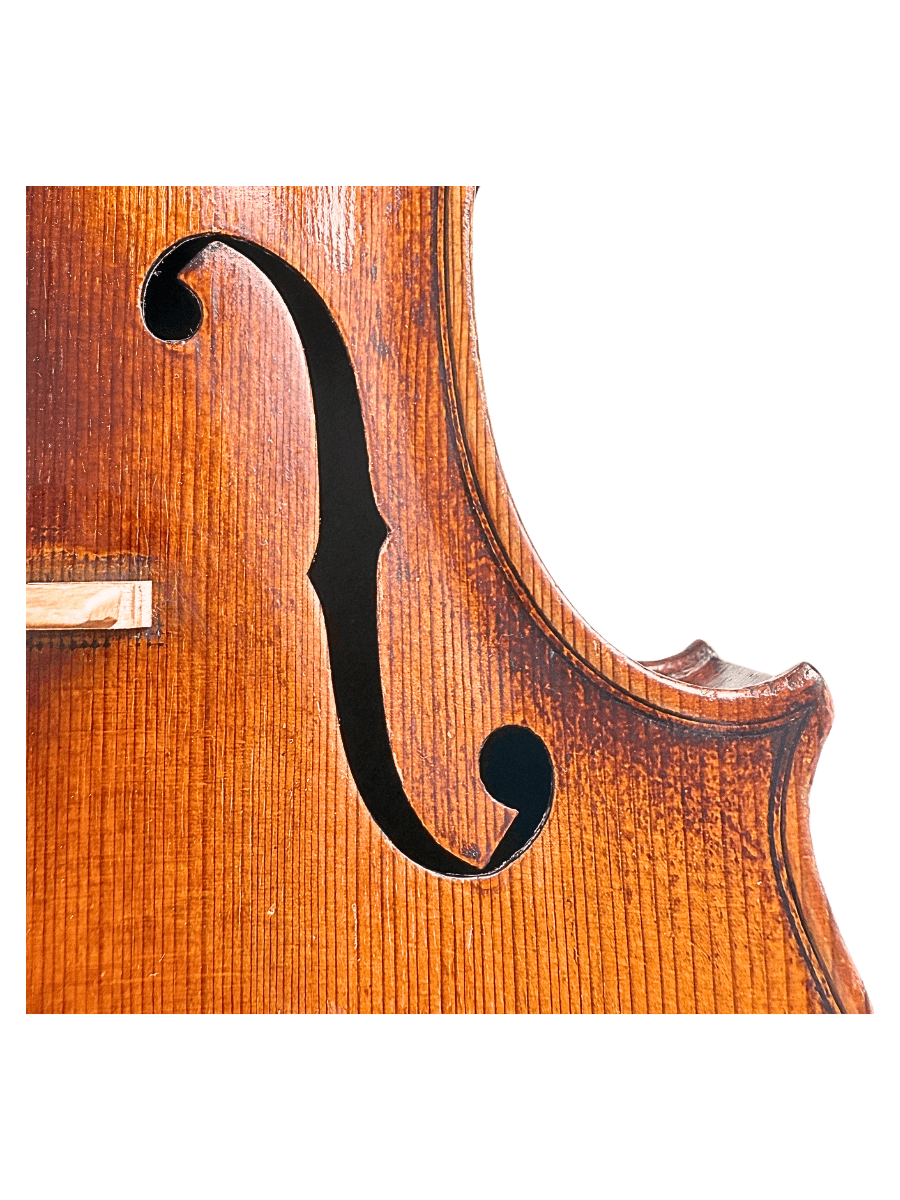 F hole on a Carlo Ferdinando Landolfi violin