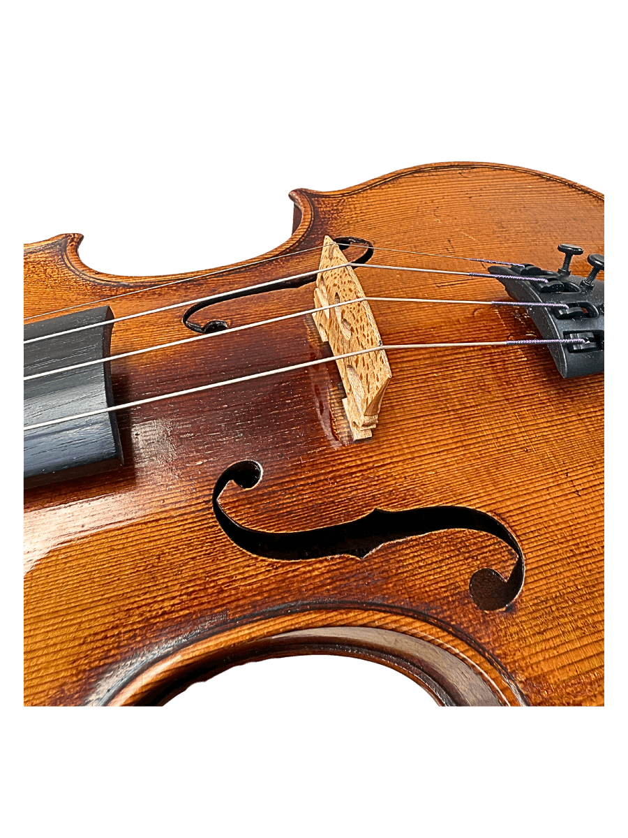 top view of a Carlo Landolfi violin