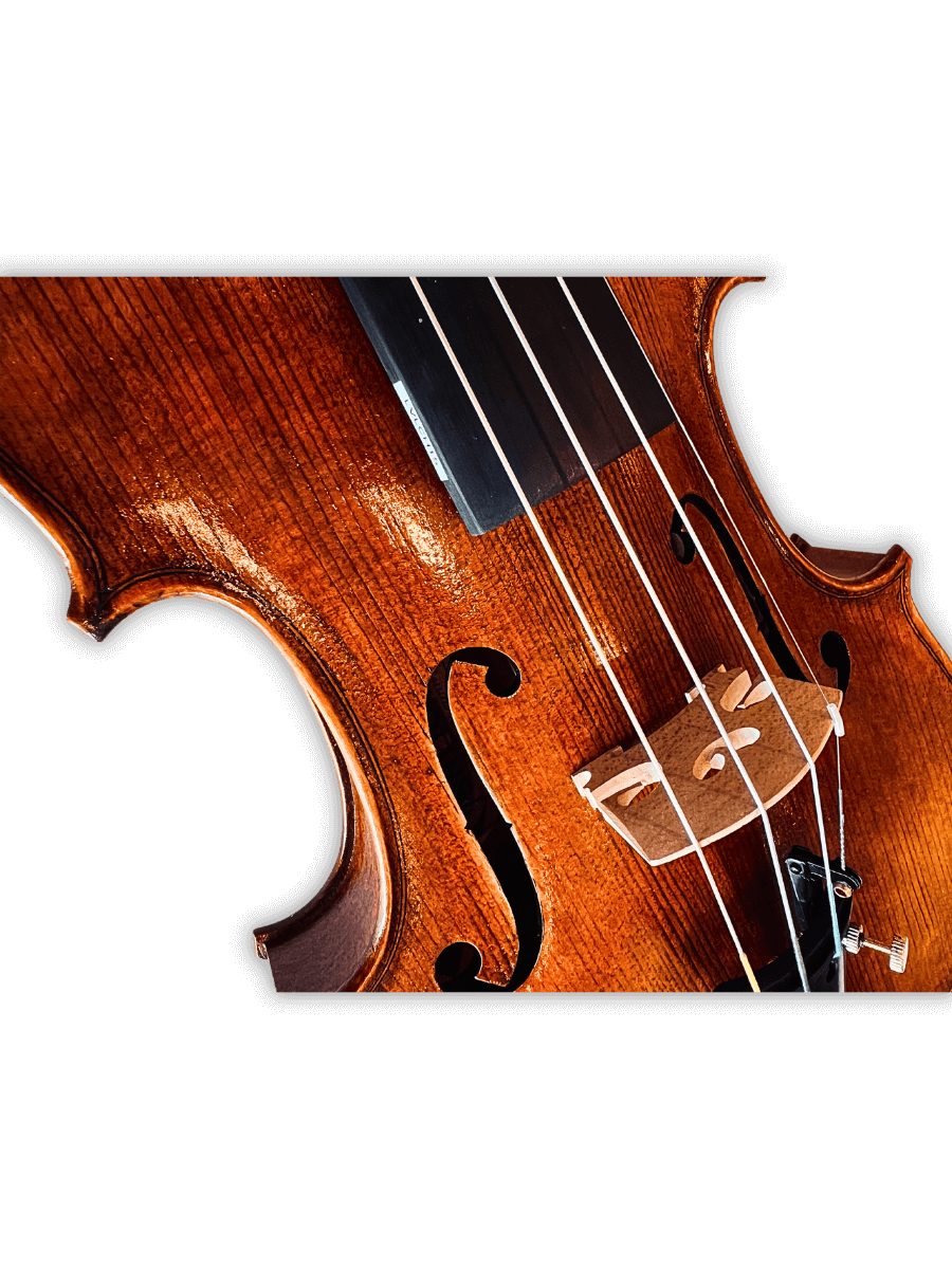 Jviolins LVLCH15 – Strumento a Corda Fatti a Mano - Image 6
