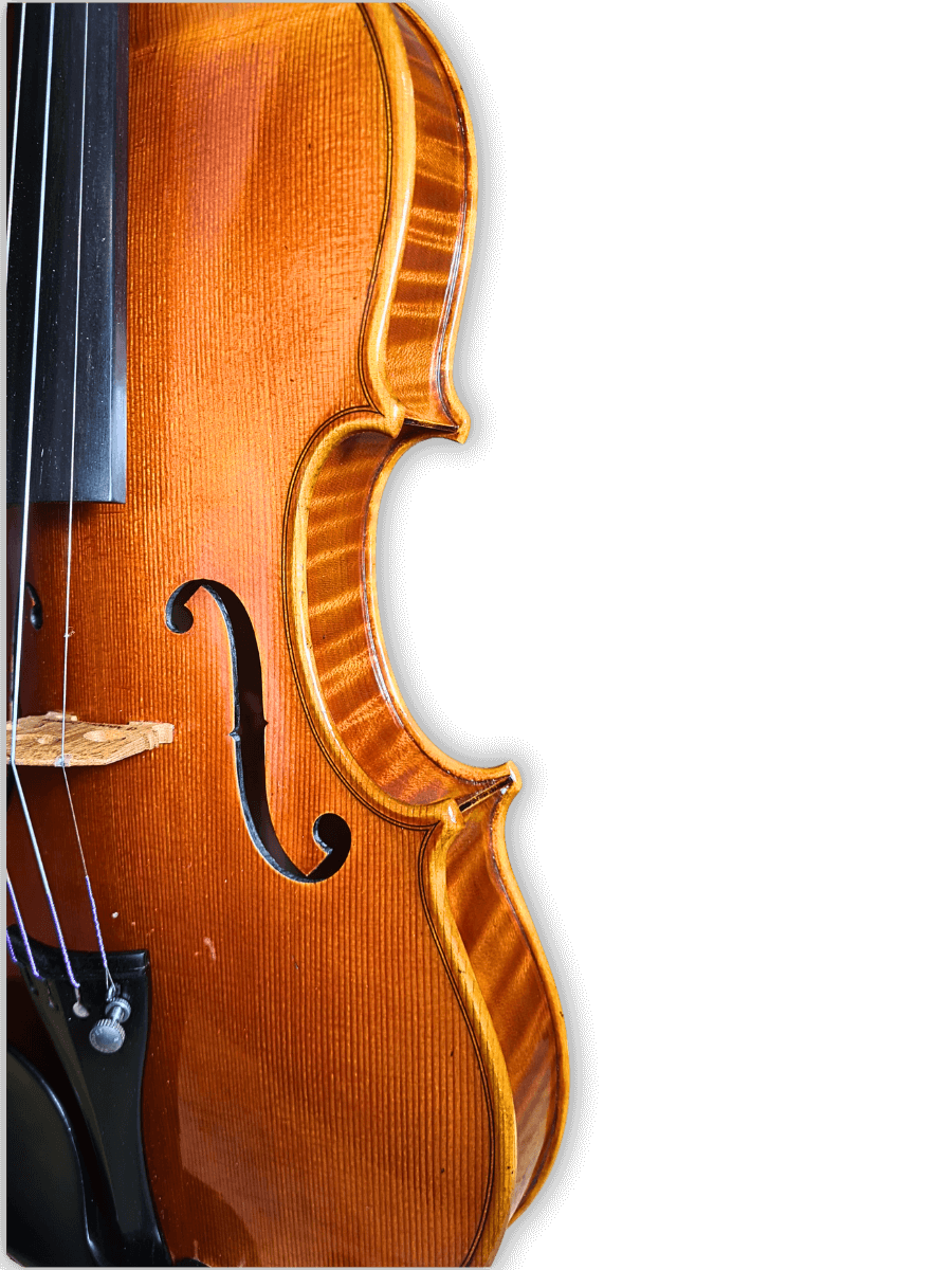 Stradivari Italian Cremonese Violin by Georgi Nikolov - Image 6