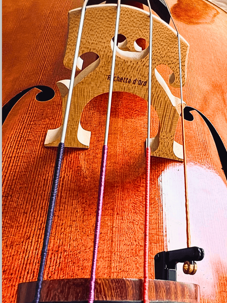 Professional Italian cello – Archetta d’Oro 2025-II model with rosewood tailpiece and mechanical pegs for advanced cellists.