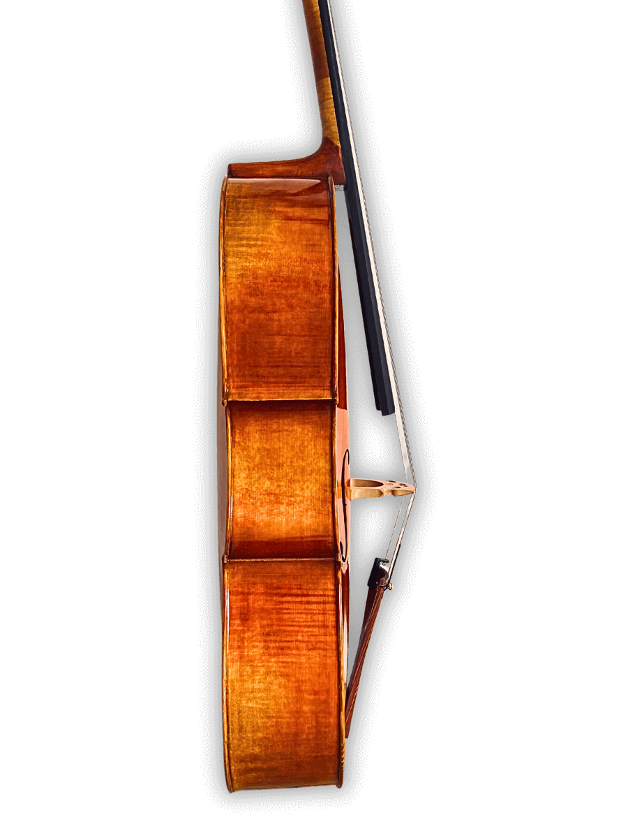 Archetta d’Oro Italian Cello 2025-II full set with bow and case, available at LVL Music Academy Singapore.