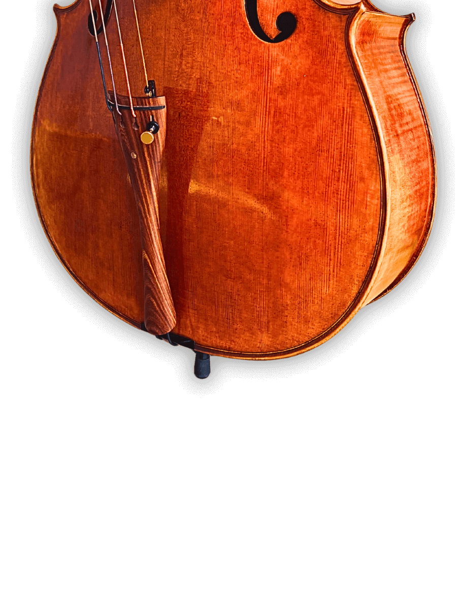 Back of Archetta d’Oro Italian Cello 2025-II with flamed maple wood and deep amber-brown finish.