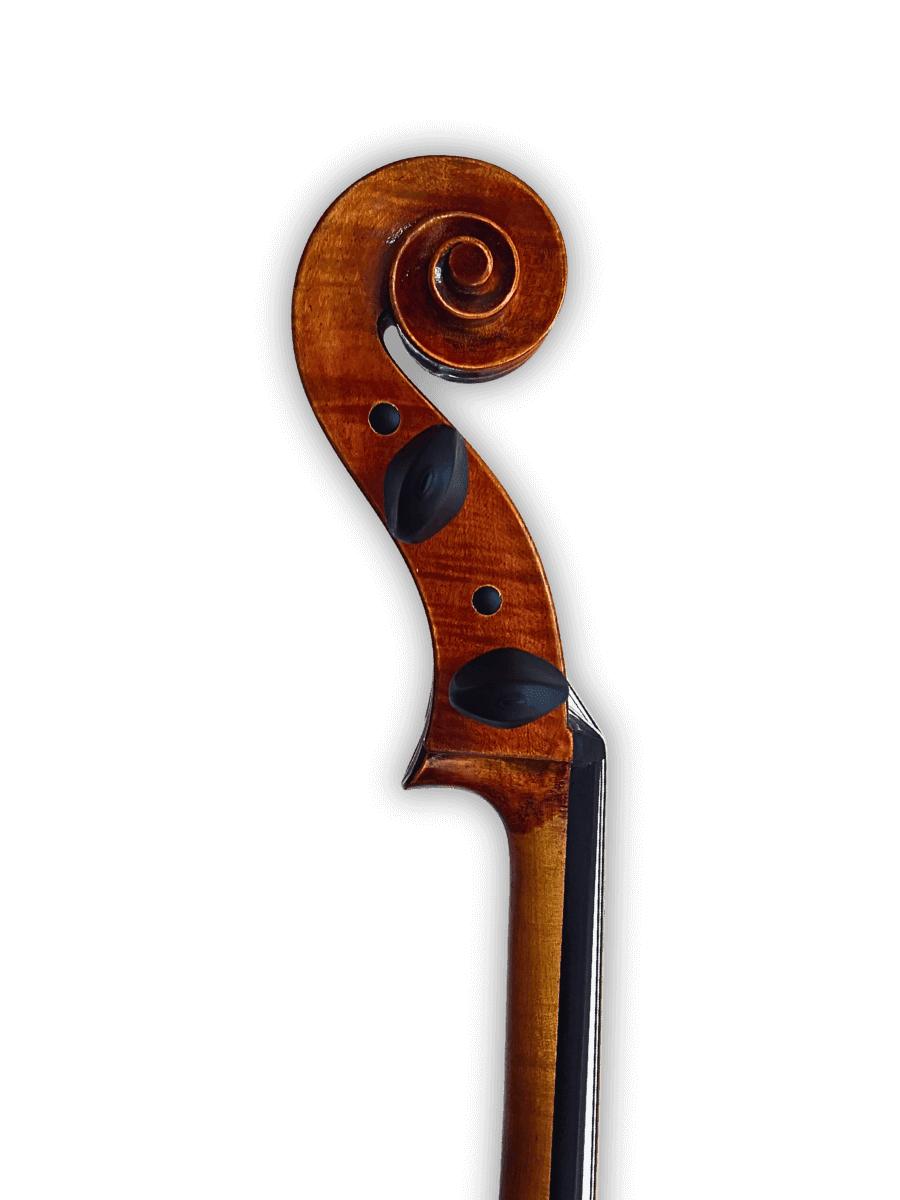 Side profile of Archetta d’Oro Italian Cello 2025-II showing Italian craftsmanship, warm varnish, and rosewood fittings.