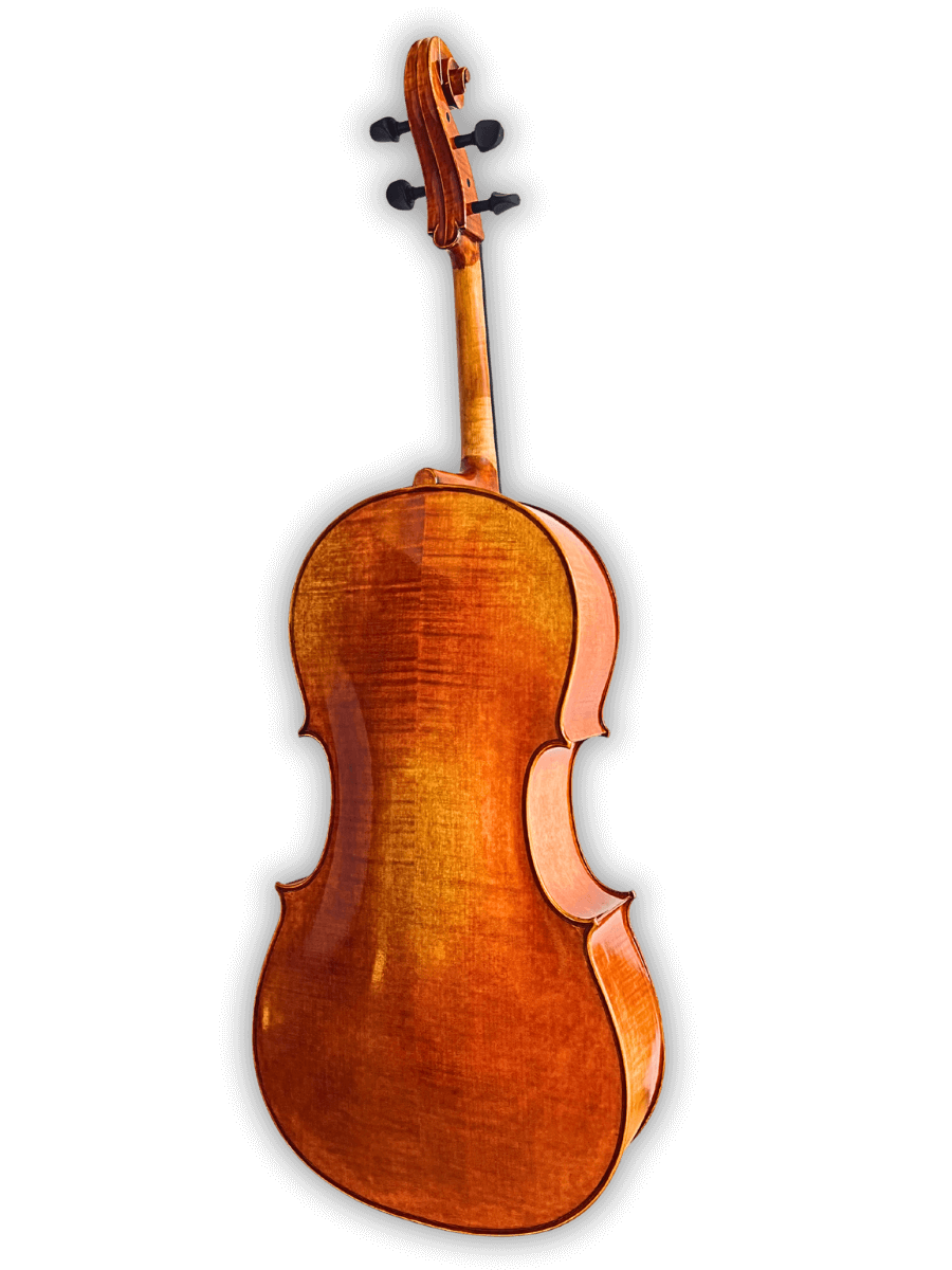 Front view of Archetta d’Oro Italian Cello 2025-II – handmade Italian cello with mechanical pegs and rosewood tailpiece.