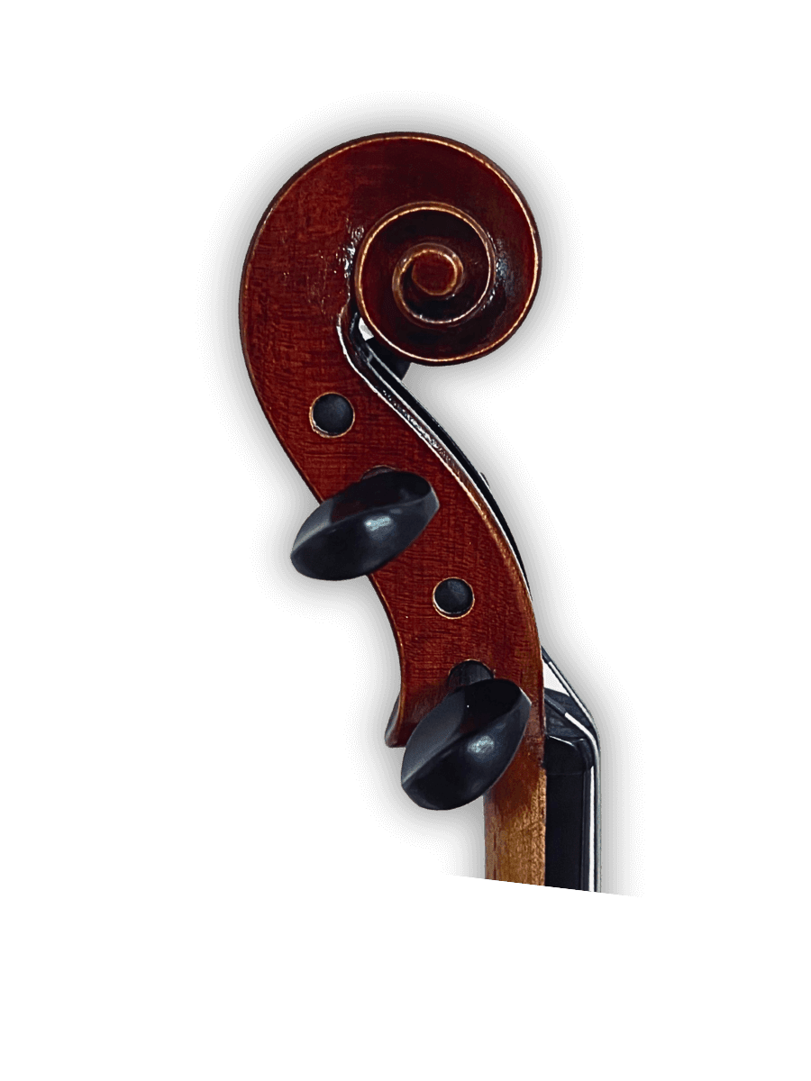 Side profile of Melodiebogen German Viola MB-VL100 displaying fine aged tonewood and refined arching for clear projection.