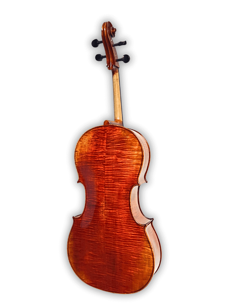 Back of Melodiebogen German Cello MB-C500 highlighting beautifully flamed maple wood and deep antique finish.