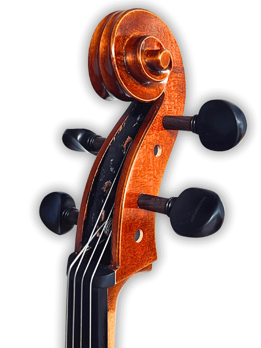Scroll and pegbox detail of Melodiebogen German Cello MB-C500 displaying traditional German carving and polished workmanship.