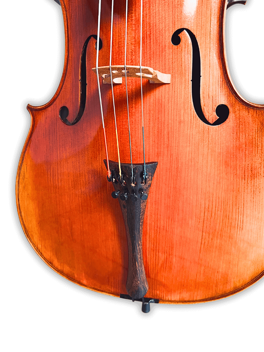 Close-up of bridge and fine tuners on Melodiebogen German Cello MB-C500, expertly fitted for precision tone control.
