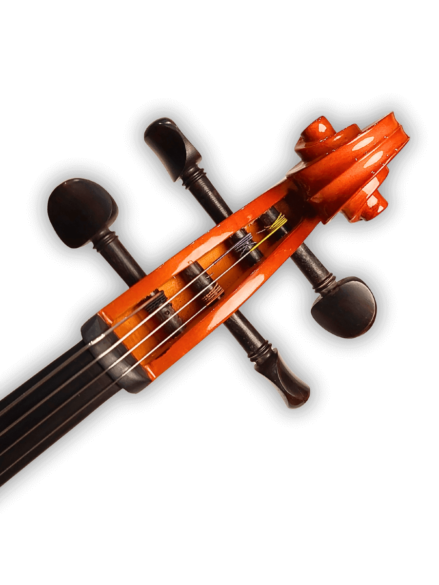 JC02 cello by LVL