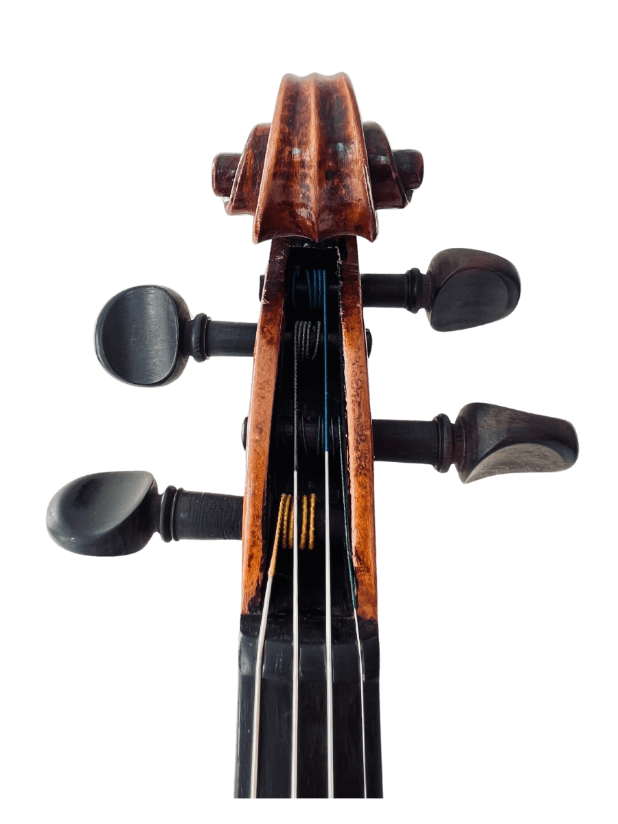Scroll on a Carlo Ferdinando Landolfi violin