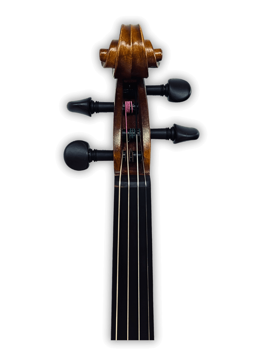 Premium Maggini-style violin handmade in Singapore by luthier A. Senejani for expressive and projecting performance