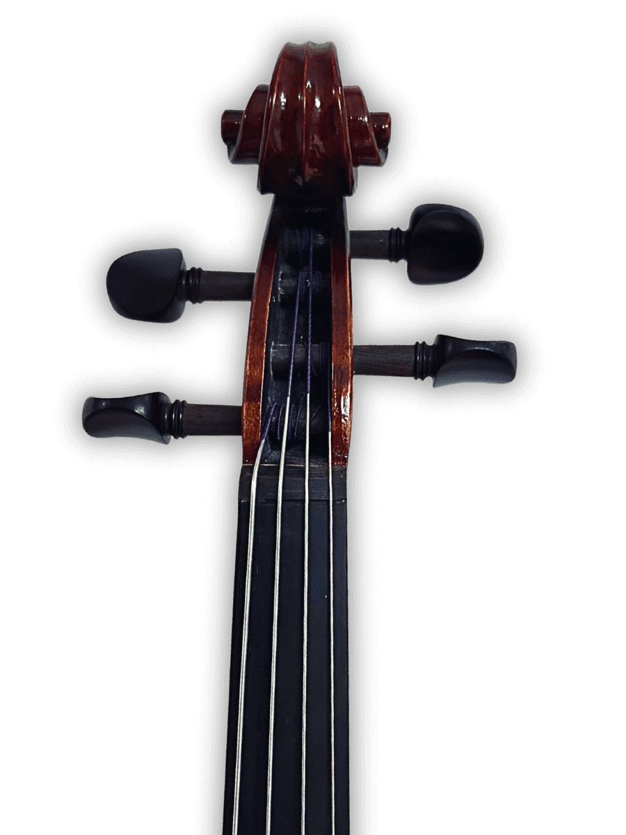 Side profile of Melodiebogen German Viola MB-VL200 showcasing precise German hand-carving and balanced body depth.