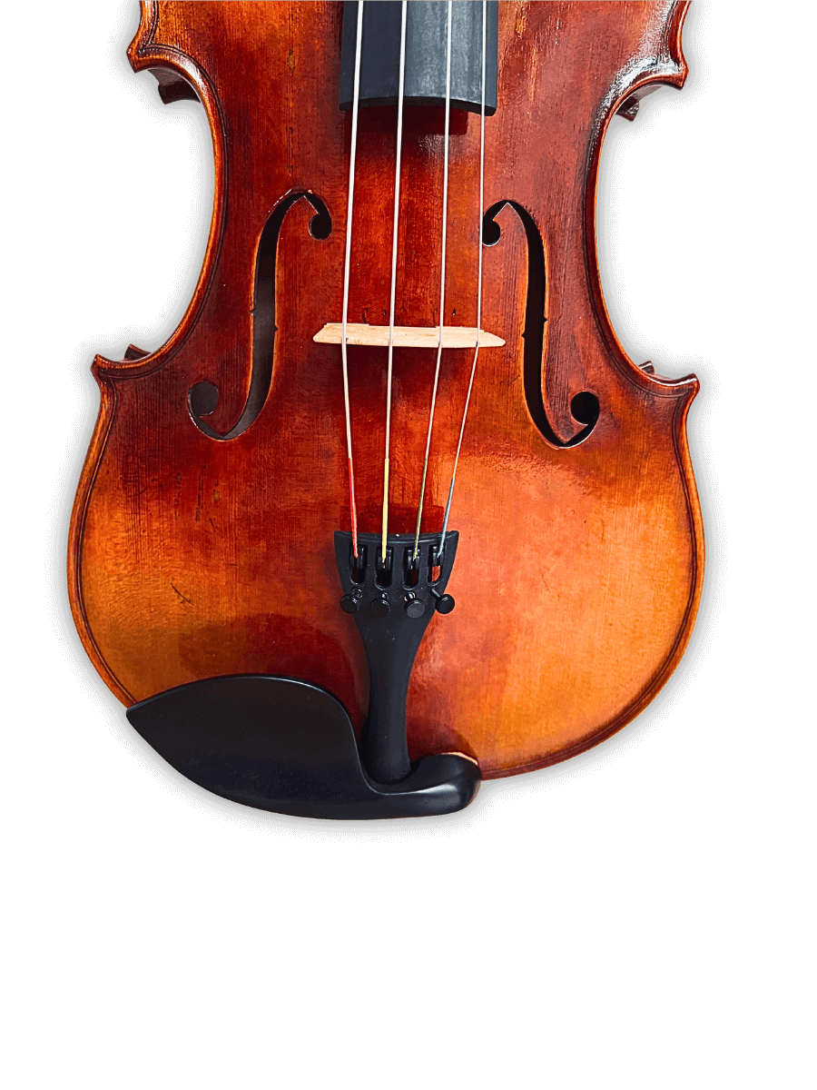 Scroll detail of Melodiebogen German Viola MB-VL200 showing traditional German viola craftsmanship and elegant carving.
