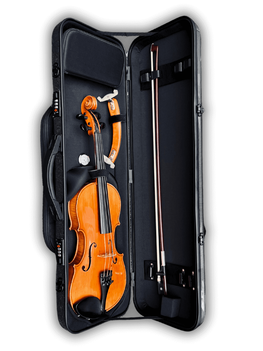 LVL Aria Oblong Violin Case in Black colour