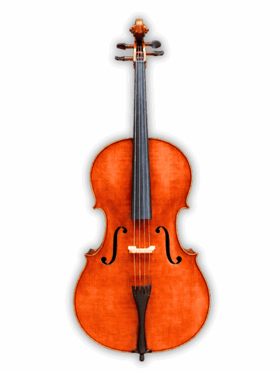 Melodiebogen German Cello MBC200
