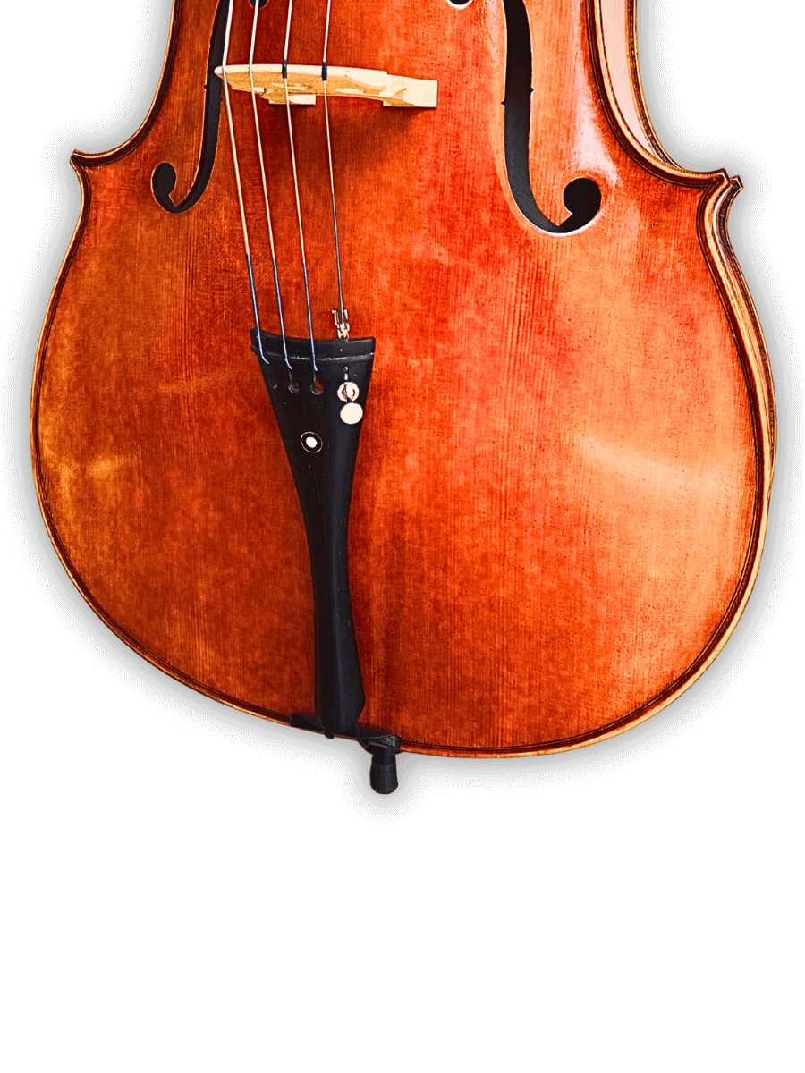 Back of Archetta d’Oro Italian Cello 2025-I highlighting premium flamed maple wood and elegant finish.