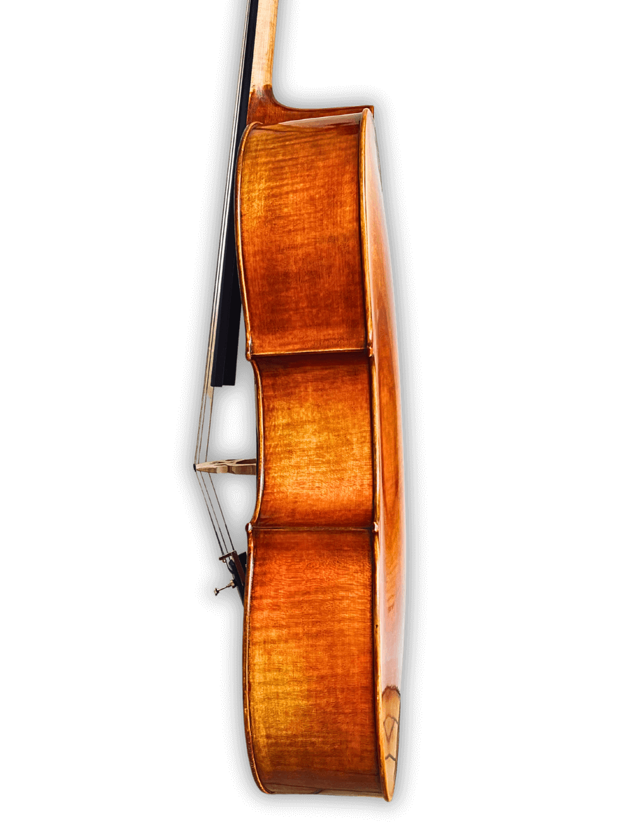 Side profile of Archetta d’Oro Italian Cello 2025-I showcasing Italian craftsmanship and warm amber varnish.