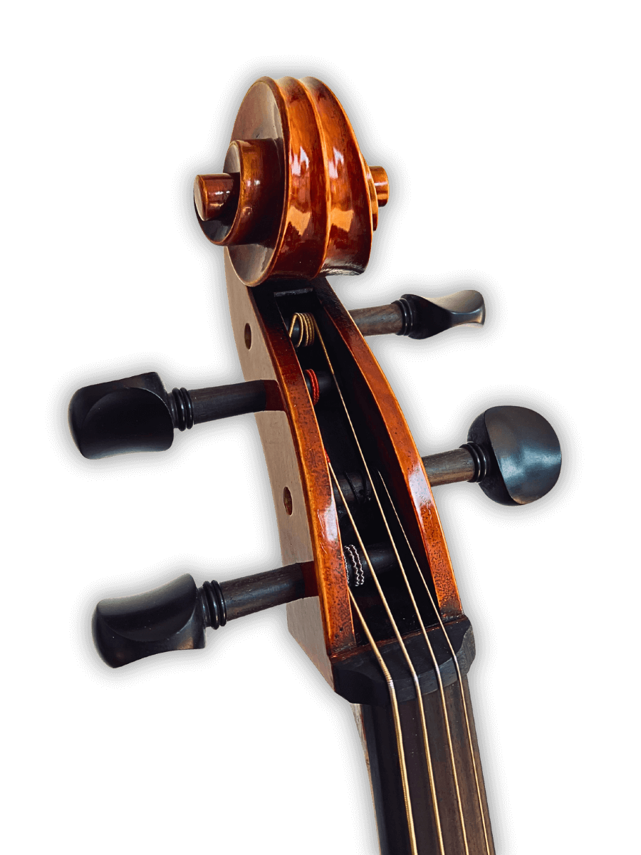 Close-up of Despiau French bridge fitted on Archetta d’Oro Italian Cello 2025-I for refined tonal quality.