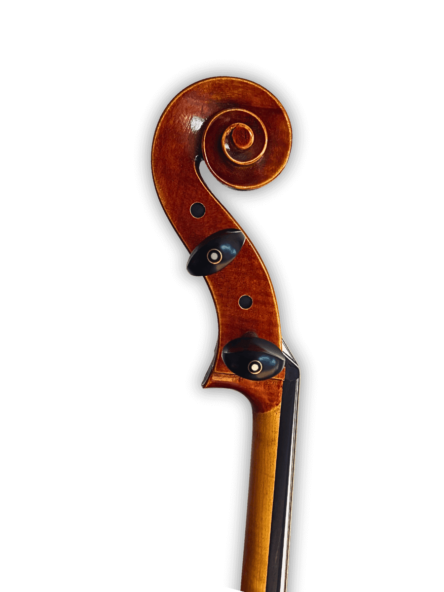 Premium mechanical pegs on Archetta d’Oro Italian Cello 2025-I ensuring smooth tuning and modern reliability.