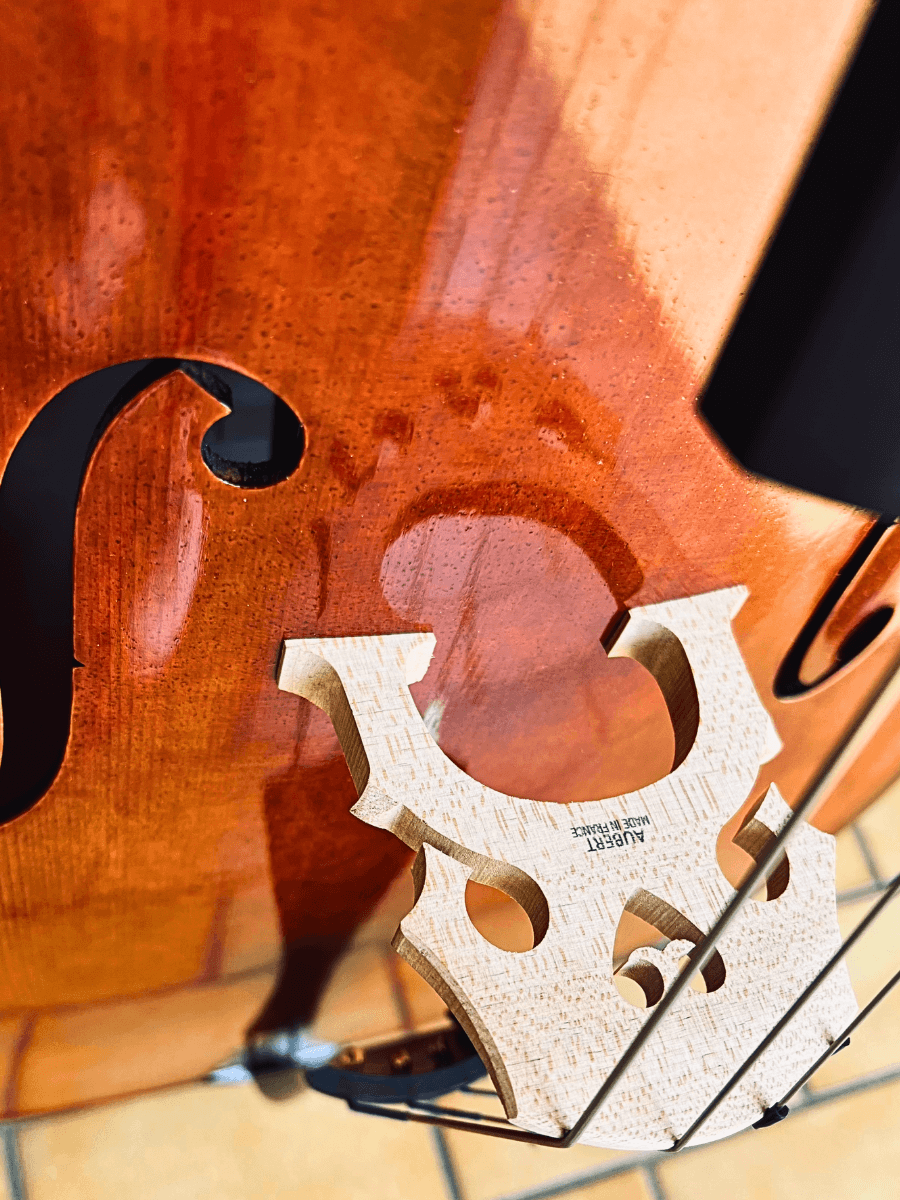 Archetta d’Oro Italian Cello 2025-I full set with bow and case, available at LVL Music Academy Singapore.