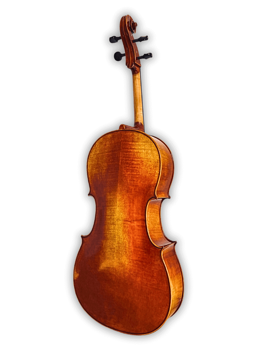 Archetta d’Oro Italian Cello 2025-I - Image 2