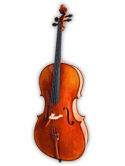 Rosewood tailpiece with fine tuners on Archetta d’Oro Italian Cello 2025-II enhancing tone and elegance.