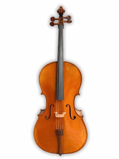 Back of Friedrich Auer German Workshop Cello 2025 highlighting flamed maple wood and warm antique German finish.
