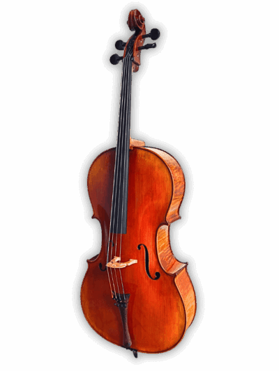 Front view of Melodiebogen German Cello MB-C500 showing refined German craftsmanship and rich amber-brown varnish.