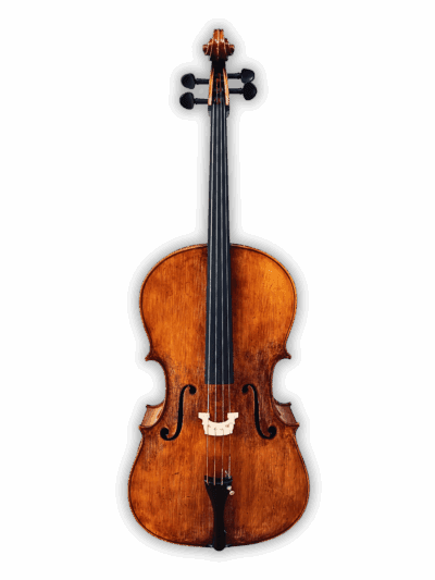 Goffriller model handmade European cello by Rafael Rupa 2025 front view
